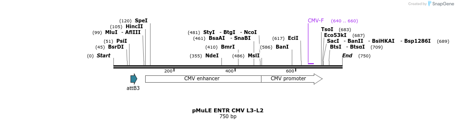 103676_map