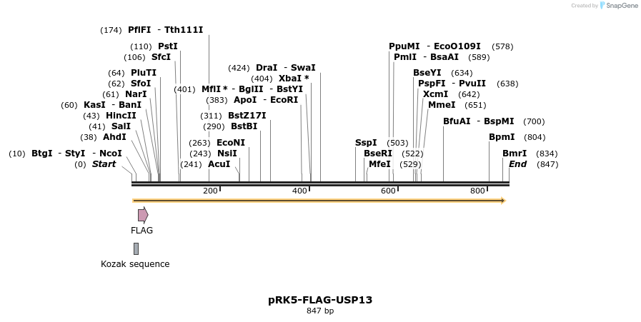 103682_map