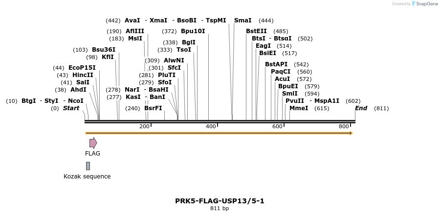 103685_map