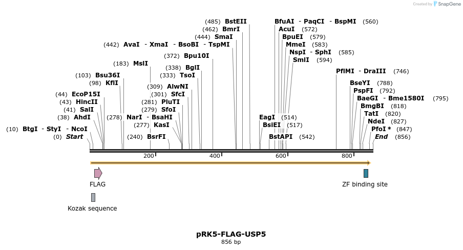 103686_map