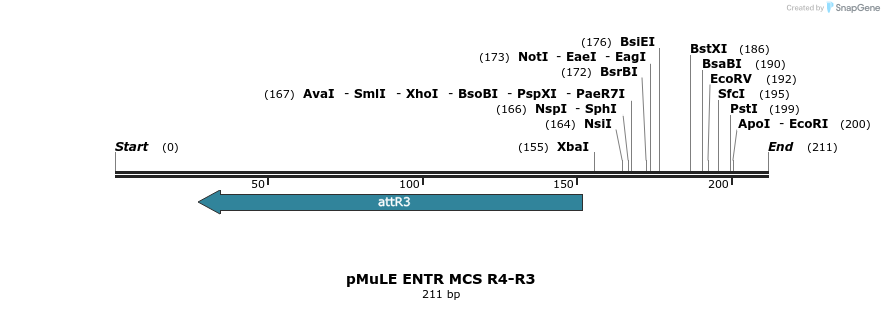 103695_map