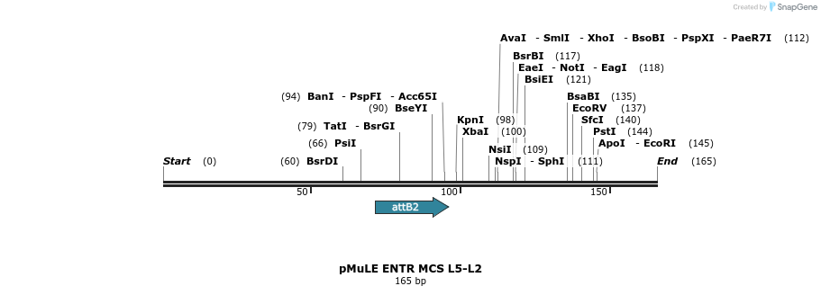 103697_map