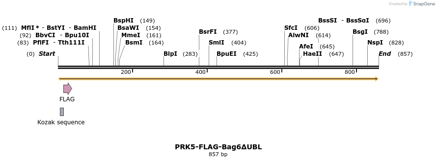103698_map