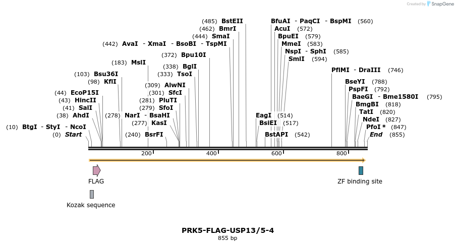 103701_map