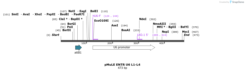 103702_map