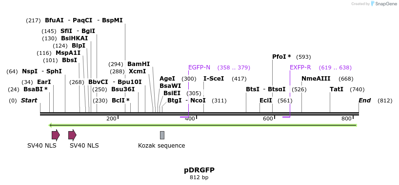 103703_map