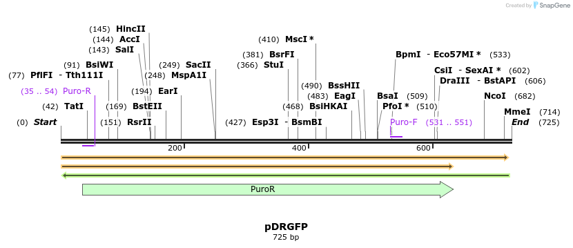 103707_map