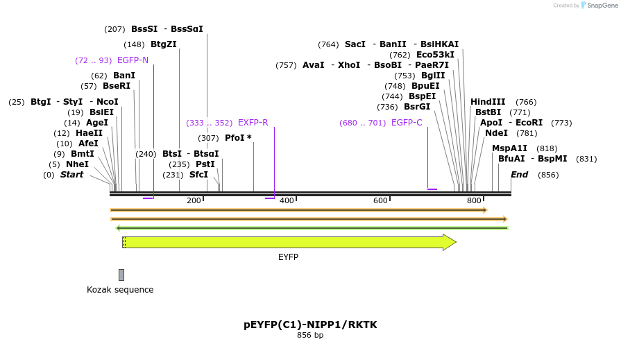103713_map