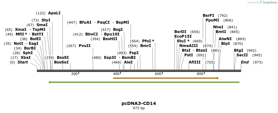 103721_map