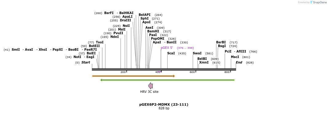 103724_map