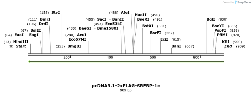 103725_map