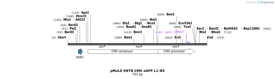 103728_map
