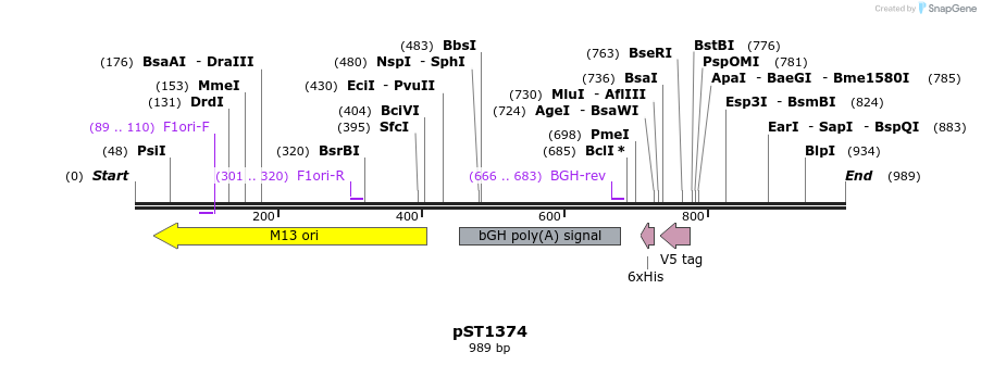 103729_map