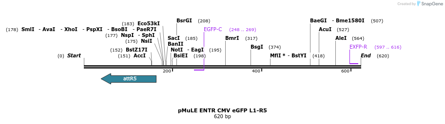 103731_map