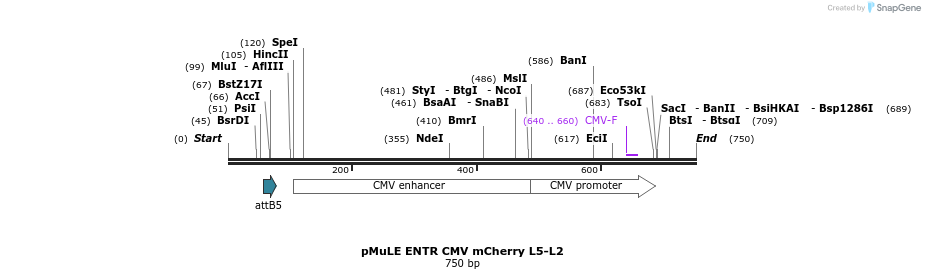 103739_map