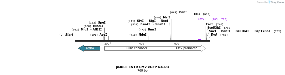 103741_map
