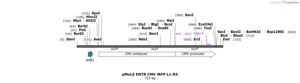 103748_map