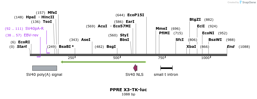 103760_map