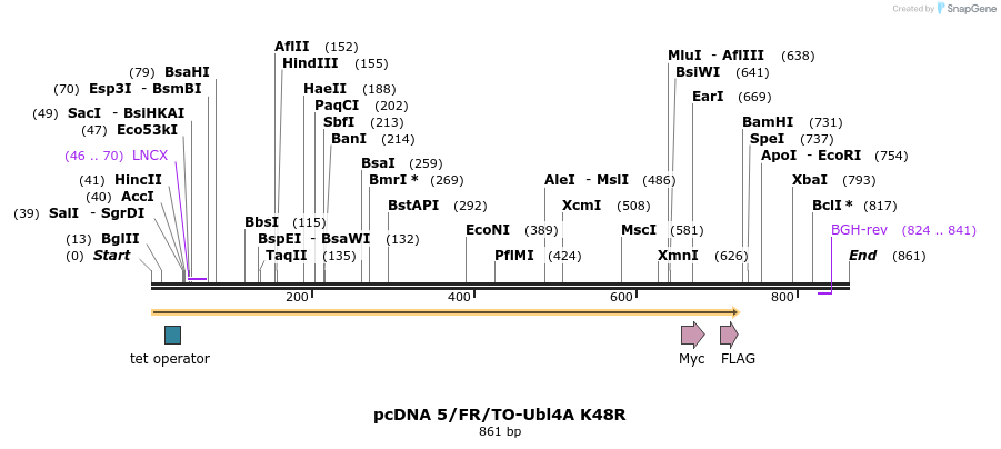 103762_map