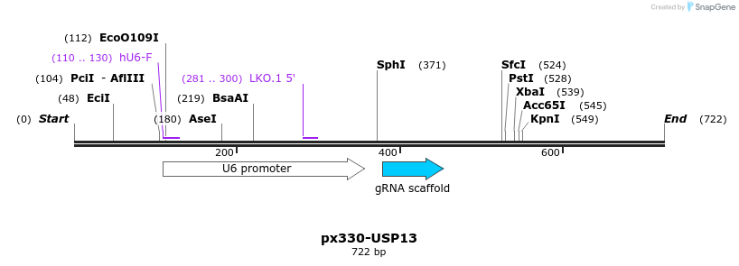 103764_map