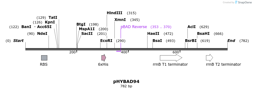 103765_map