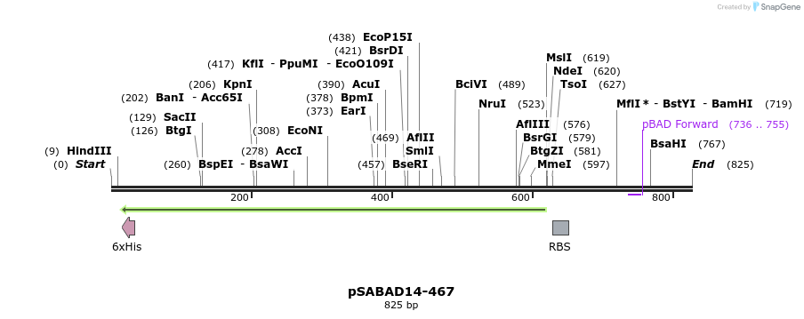 103770_map
