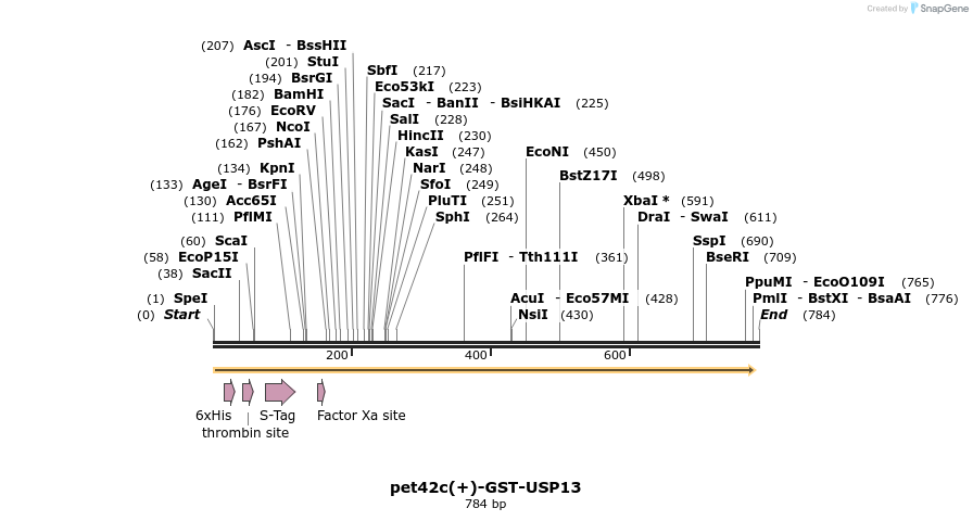 103776_map