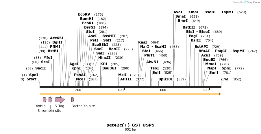 103777_map