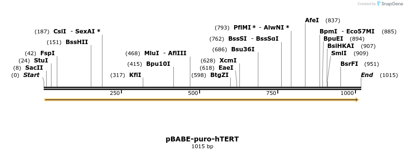 103788_map