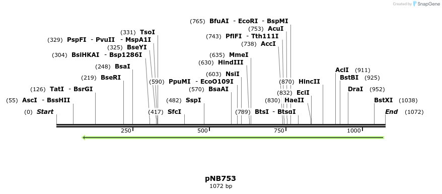 103797_map