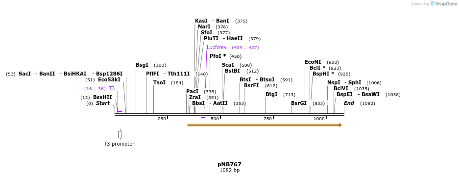 103799_map