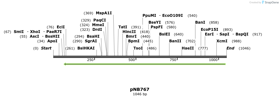 103800_map
