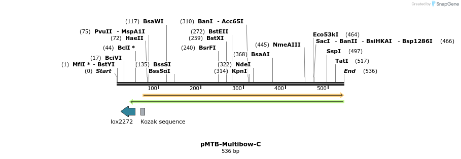 103803_map