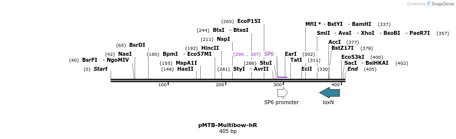 103806_map
