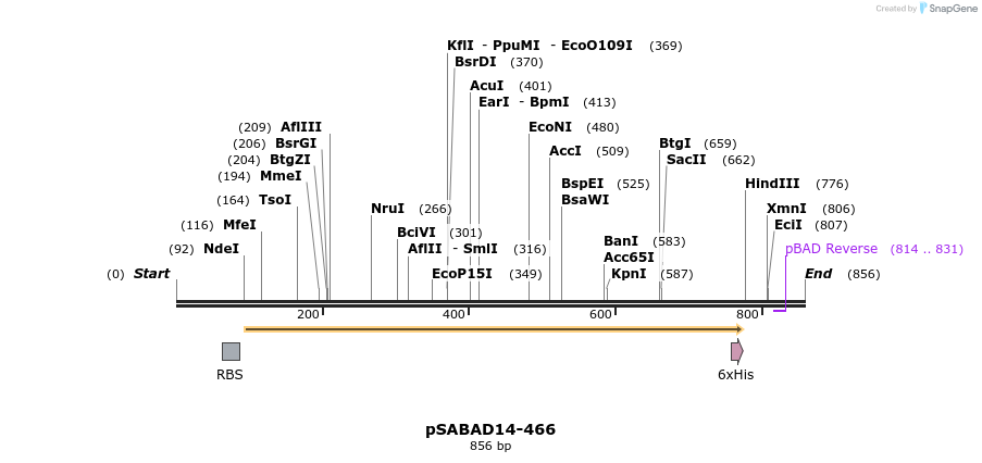 103808_map