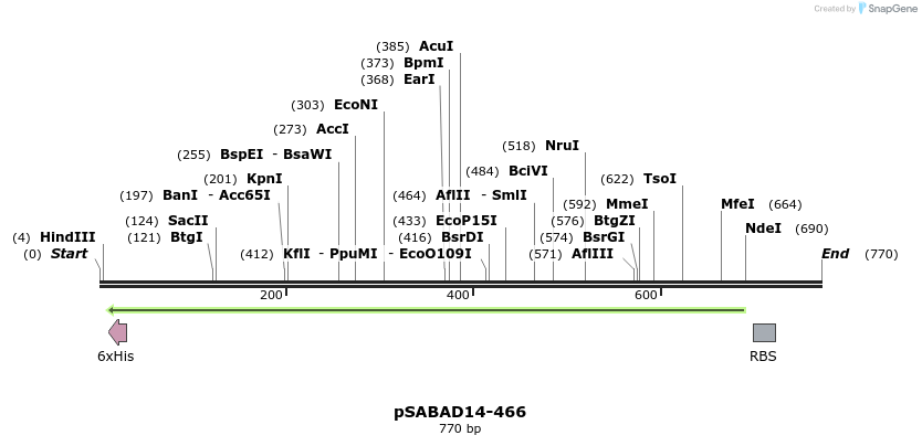 103809_map