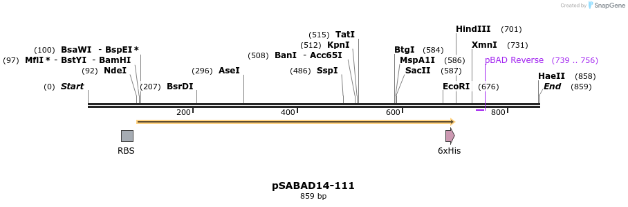 103810_map