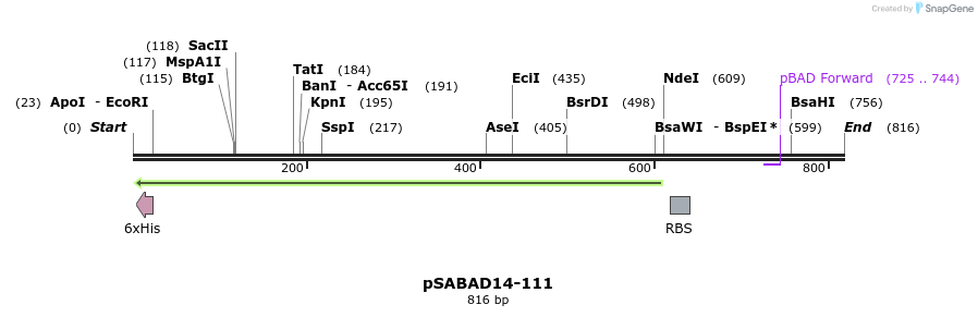 103811_map