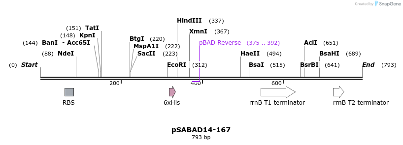 103812_map