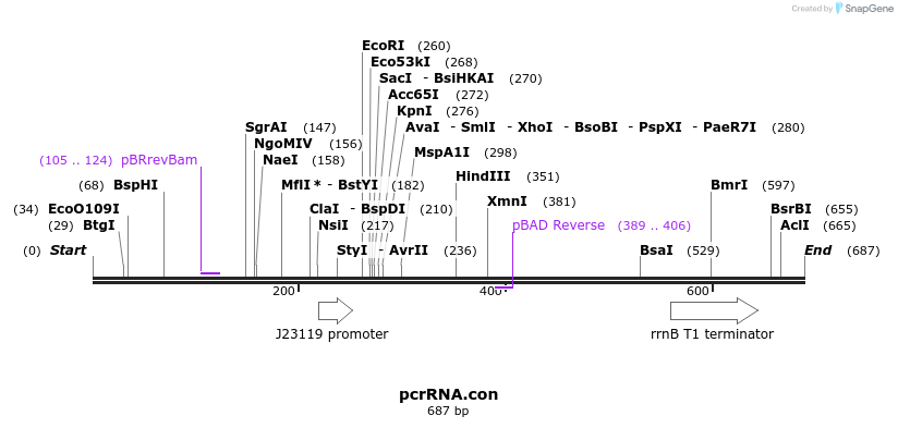 103816_map