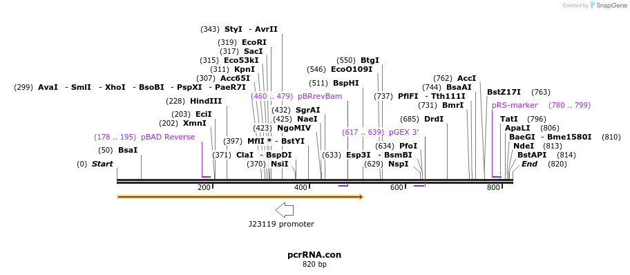 103817_map