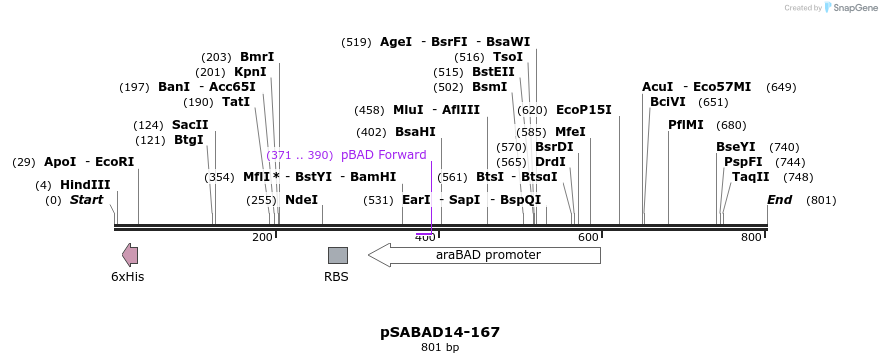 103818_map