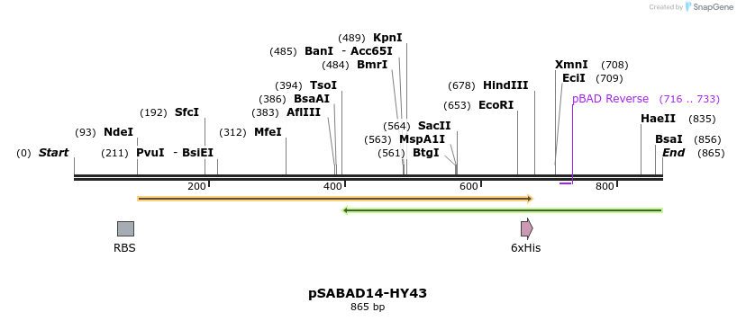 103821_map