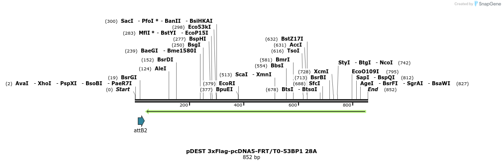 103829_map