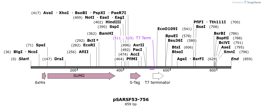 103847_map