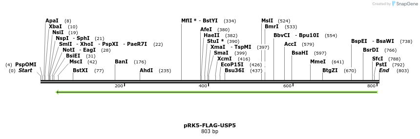 103849_map