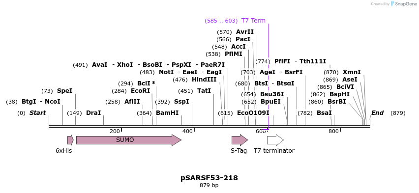 103852_map
