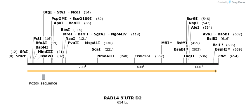103856_map