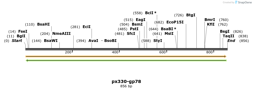 103858_map