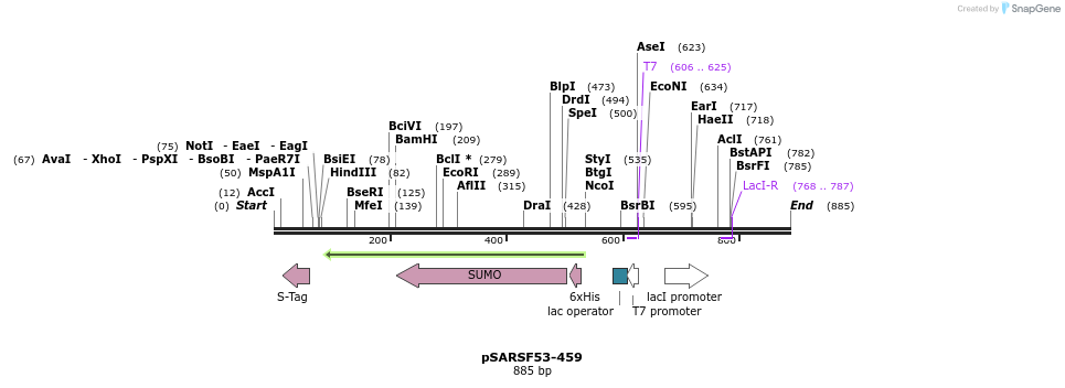103861_map